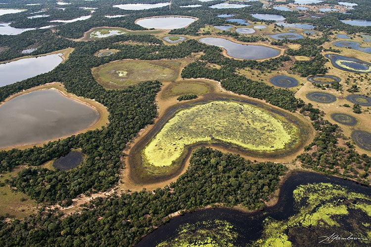 Pantanal Alagado