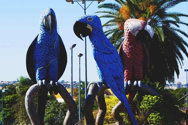 Praça das Araras em Campo Grande MS - Monumentos de Campo Grande