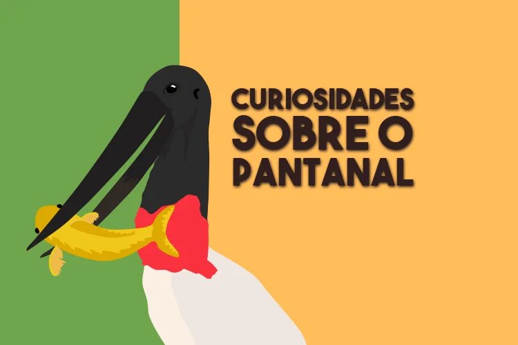 10 Curiosidades do Pantanal - O bioma das águas - Aquele Mato