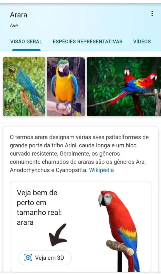 Faça seu zoológico em casa - Aquele Mato