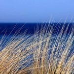 A trilha sonora da natureza