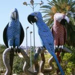 O que fazer em Campo Grande: dicas de atrações