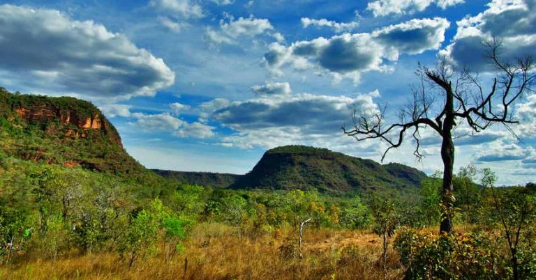 Rotas turísticas de Mato Grosso do Sul: Cerrado-Pantanal, Monções, sítios rupestres e os ecoparques de Bonito