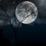 15 Lendas de Mato Grosso do Sul que enriquecem a cultura popular