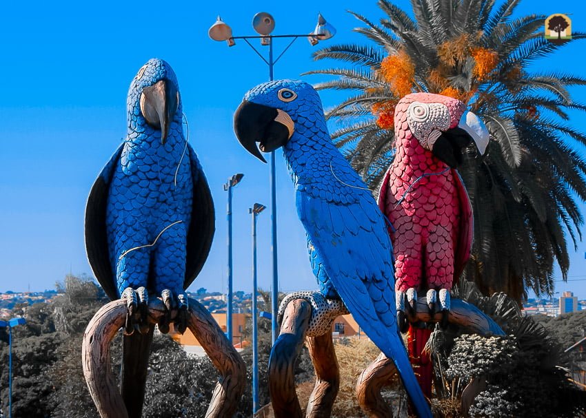 Monumentos das Araras localizado na praça da união relembra a importância da preservação das araras