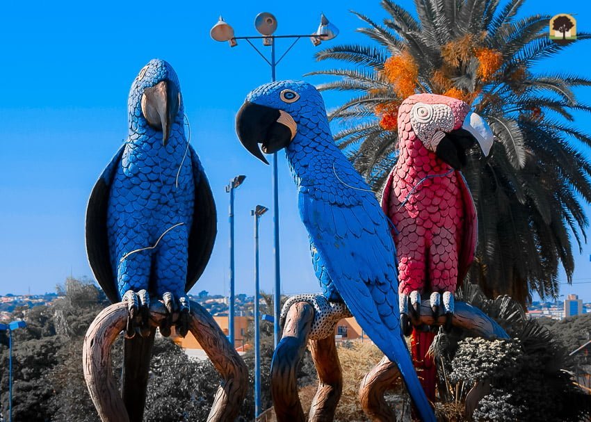 Monumentos das Araras localizado na praça da união relembra a importância da preservação das araras