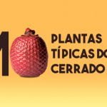 10 plantas do cerrado, conhecer para preservar