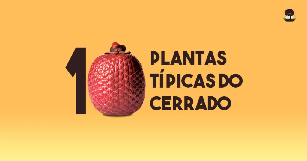 10 plantas do cerrado, conhecer para preservar - Aquele Mato