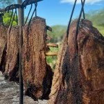 14 Pratos típicos de Mato Grosso do Sul