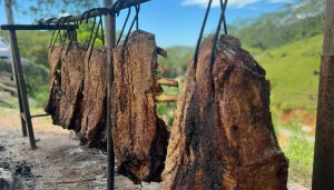 14 Pratos típicos de Mato Grosso do Sul