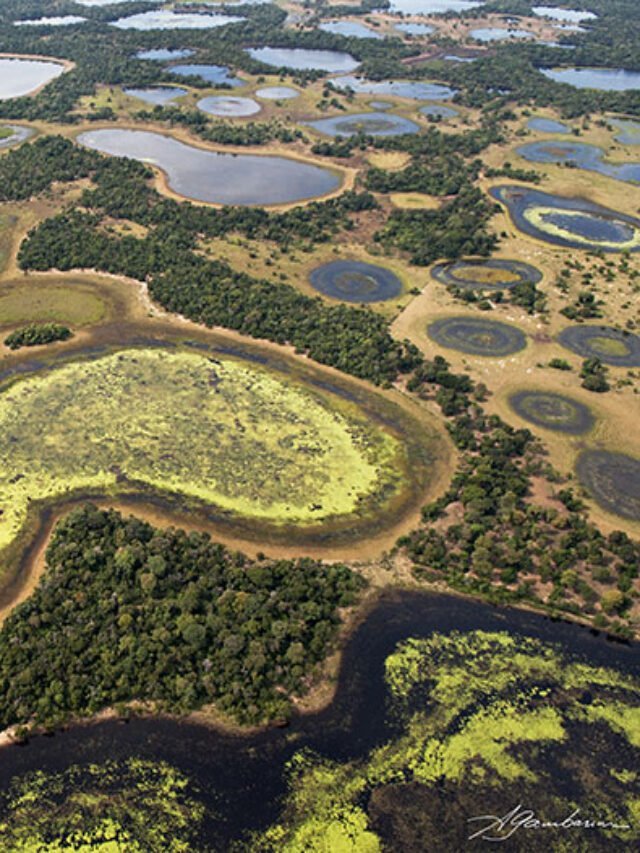 O Complexo do PANTANAL