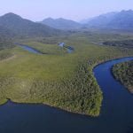 A Mata Atlântica e a queda no desmatamento