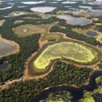 Fiocruz MS recebe R$ 2,1 milhões para vigiar patógenos e efeitos do clima na saúde, começando pelo Pantanal