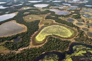Justiça condena banqueiro e mineradora por danos ambientais no Pantanal 