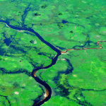 Pantanal, o bioma que nem brasileiro conhece