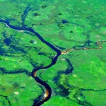 Pantanal, o bioma que nem brasileiro conhece