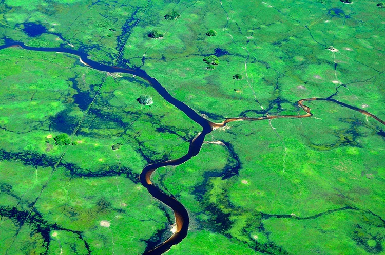 Pantanal, o bioma que nem brasileiro conhece