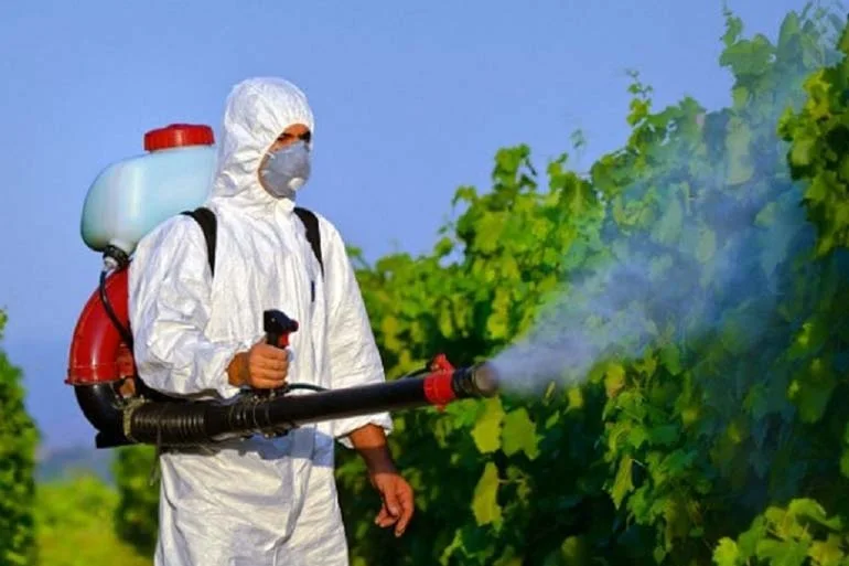 MS cria grupo de trabalho sobre destino de agrotóxicos apreendidos