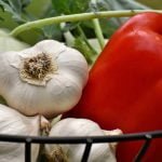 Comissão da Câmara aprova PL do Veneno, que flexibiliza uso de agrotóxico