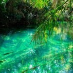 Banho no frio: as águas dos rios de MS são geladas?