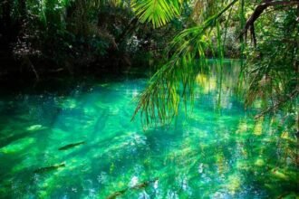 Rio da Prata bonito MS