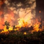 Em MS, queima de fogos de artifício se estendeu para a vegetação