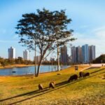Drive Thru da Reciclagem volta ao Parque das Nações Indígenas no fim de outubro, e você pode participar sem sair do carro