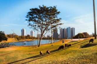 Drive Thru da Reciclagem volta ao Parque das Nações Indígenas no fim de outubro, e você pode participar sem sair do carro