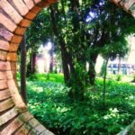 Melhor parque de Campo Grande