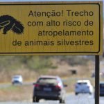 Plano Nacional para reduzir atropelamentos de fauna é aprovado na Câmara