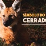 Onde o lobo-guará pode ser encontrado