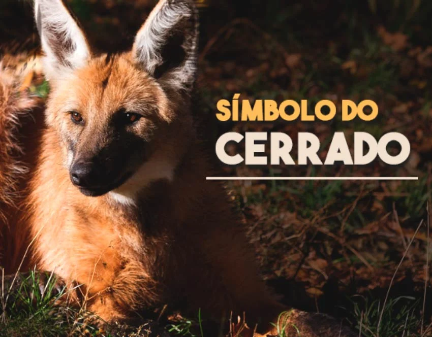 Logo Guará animal em risco de extinção