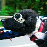 Viajar de moto por Mato Grosso do Sul