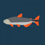 14 Peixes do Pantanal: diversidade nas águas