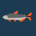 14 Peixes do Pantanal: diversidade nas águas