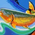 12 Artistas de Mato Grosso do Sul