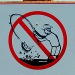 Degradação ambiental e a importância da fiscalização em MS