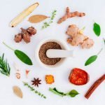 Plantas medicinais em Mato Grosso do Sul