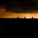 A luz nos cupinzeiros de Costa Rica