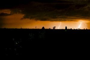 A luz nos cupinzeiros de Costa Rica