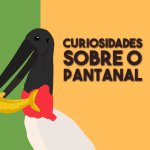 10 Curiosidades do Pantanal – O bioma das águas