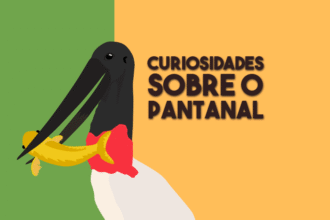 Veja algumas curiosidade sobre o Bioma Pantanal