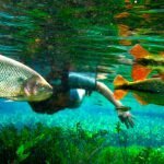 Ecoturismo de aventura em Mato Grosso do Sul: o que fazer, onde ficar e como aproveitar com responsabilidade