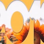 O que vivemos em Mato Grosso do Sul em 2018