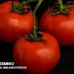 Agrotóxicos nos alimentos, o veneno do dia a dia!
