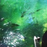 Bonito -MS, 5 dicas de passeios