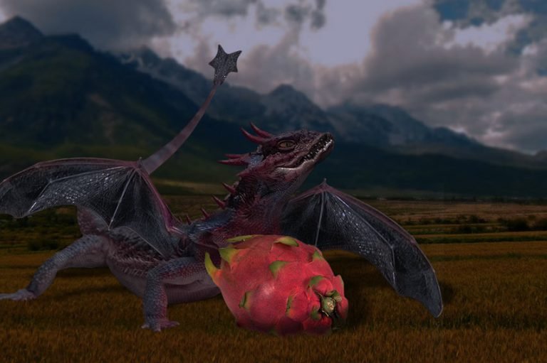 É época de pitaia, a fruta do dragão