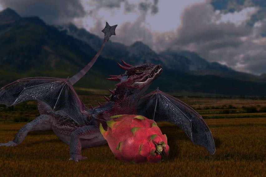 É época de pitaia, a fruta do dragão - Aquele Mato