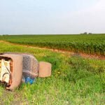 Jogar lixo na estrada coloca vida em risco