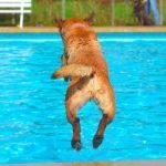 Esvaziar ou limpar a água da piscina?